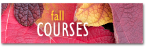 adm-fall-course2012